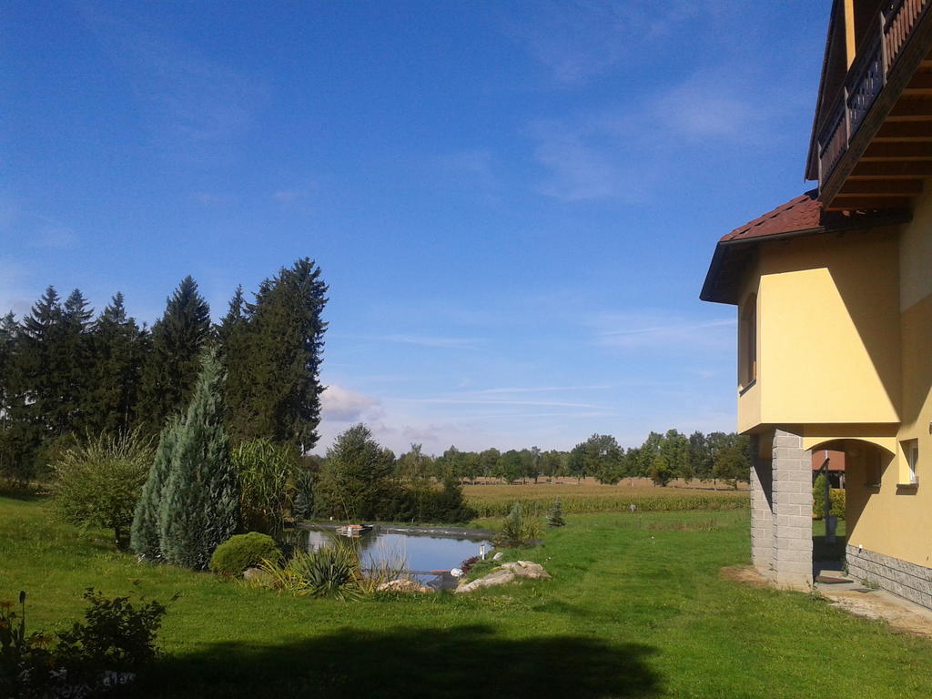 Penzion Starý dvůr Nové Dvory Exterior foto